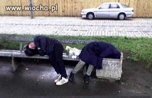 Adolfoh jako śpioszek