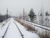 Panie Niesiołowski jest zima, szczawiu nie ma.