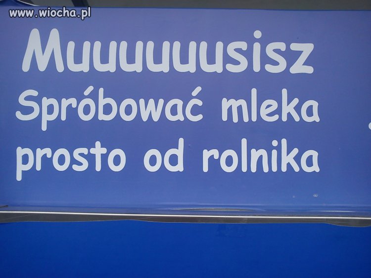 Ciekawe ile przeciętny rolnik daje litrów mleka