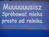 Ciekawe ile przeciętny rolnik daje litrów mleka