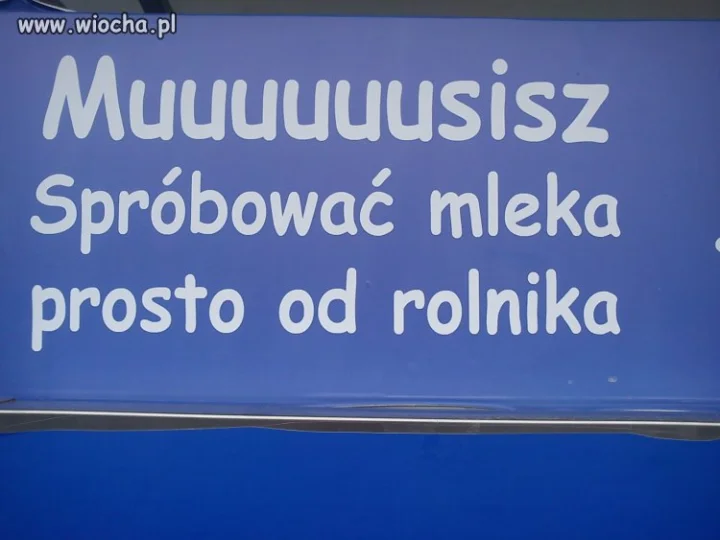 Ciekawe ile przeciętny rolnik daje litrów mleka