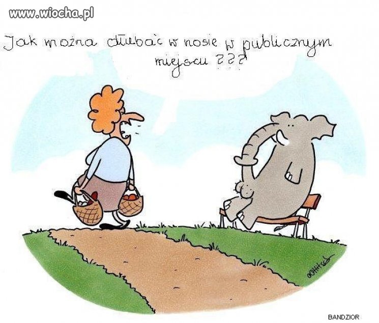 Słonie to świnie 