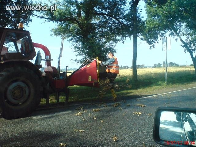 Rozdrabniarka 