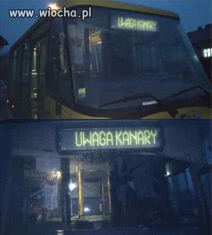 Ostrzegać
