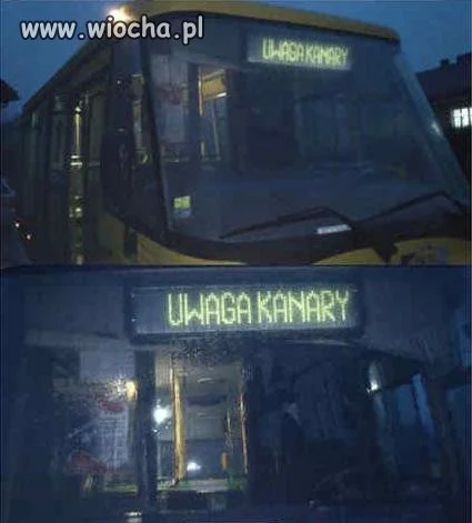 Ostrzegać