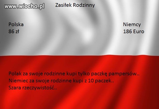 Szara rzeczywistość...