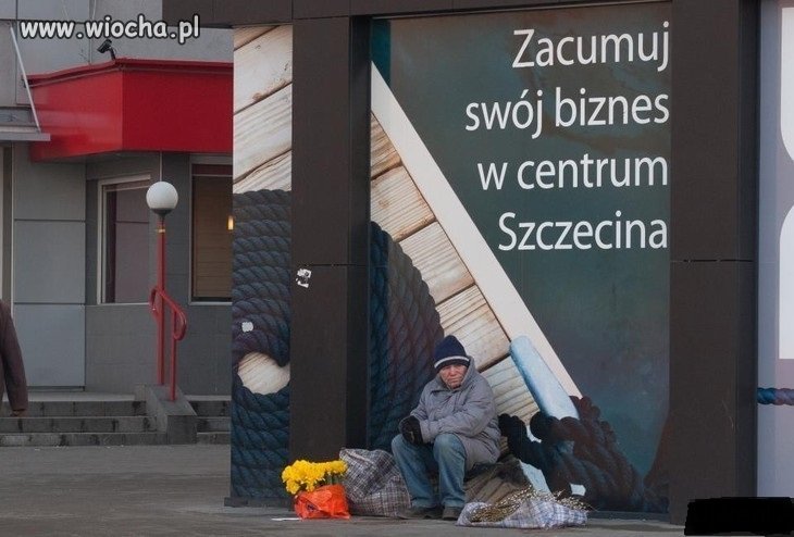 Czy tak ma wyglądać ten biznes w/g D.T.