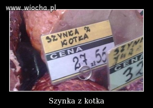 Szynka z kota???