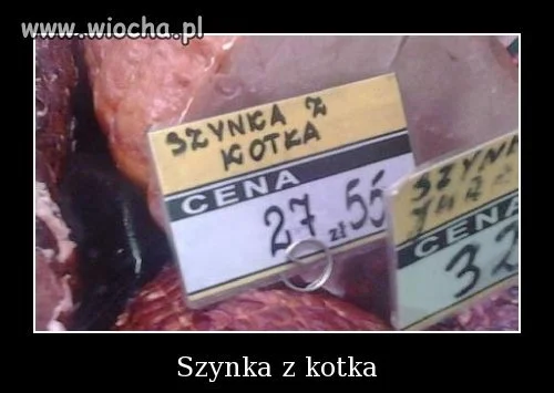 Szynka z kota???
