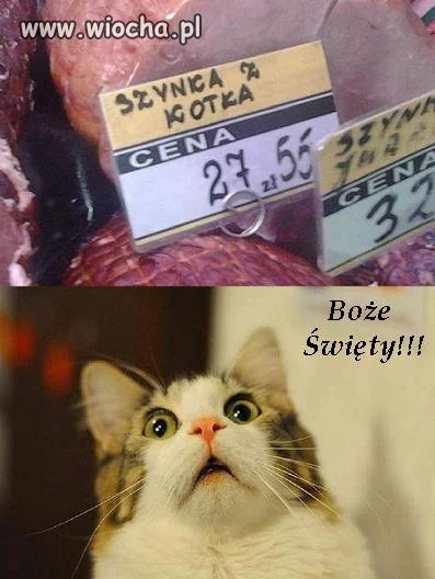 Nowość!