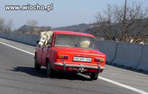 Samochód do zadań specjalnych 