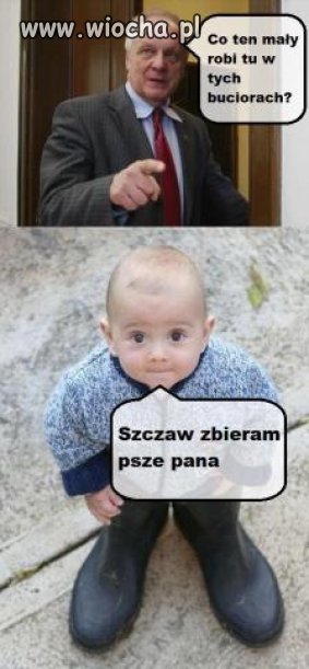 Zbieram szczaw, psze...