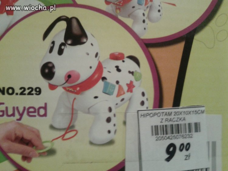 Promocja w markecie