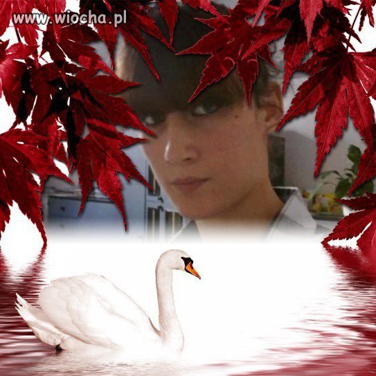 Takie tam...