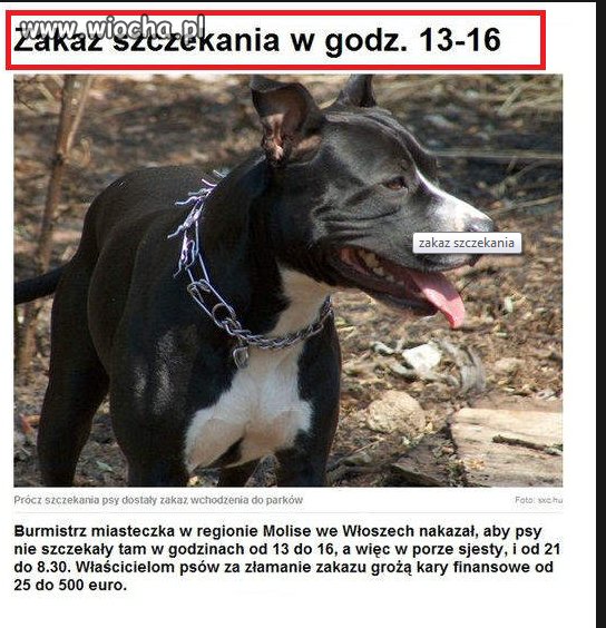 Ja naprawdę nie wiem