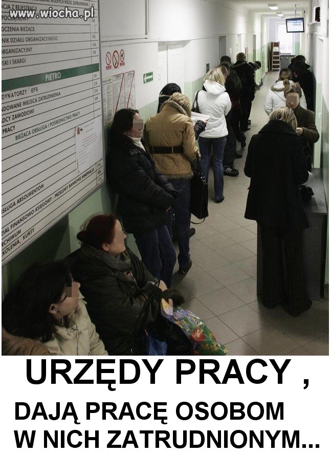 Urzędy pracy, bezmyślne przerzucanie " papierków"...