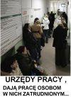Urzędy pracy, bezmyślne przerzucanie " papierków"...