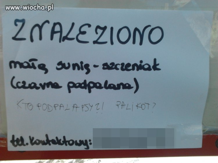 Niema to jak naśmiewanie się z czyjejś pomocy