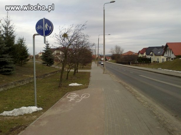 Polska specjalność - nie uzywanie mózgu.