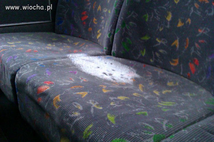 Siedzenie w pks 