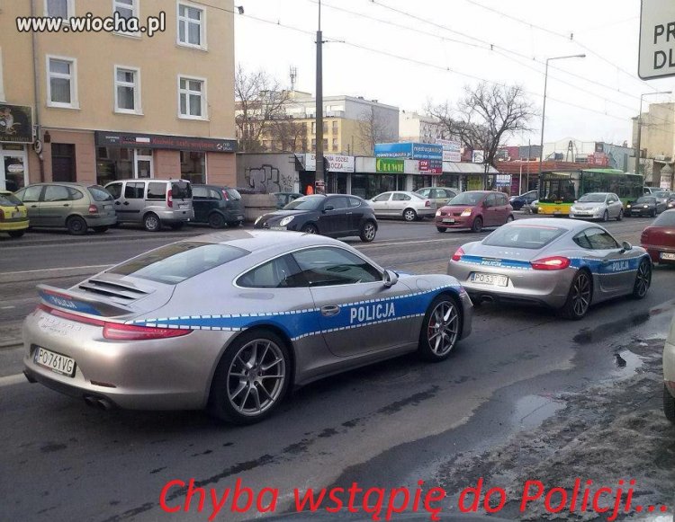 Polska Policja