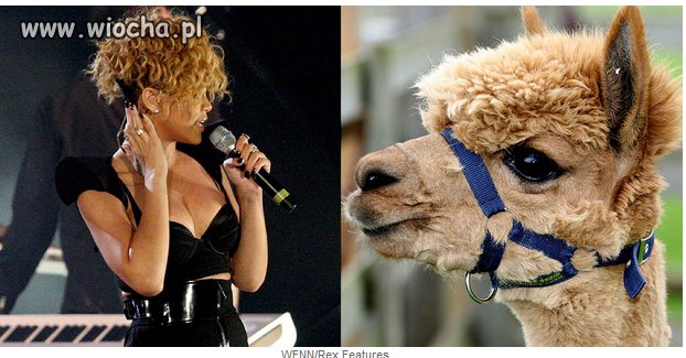 RiRi...