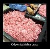 Kontrola jakości