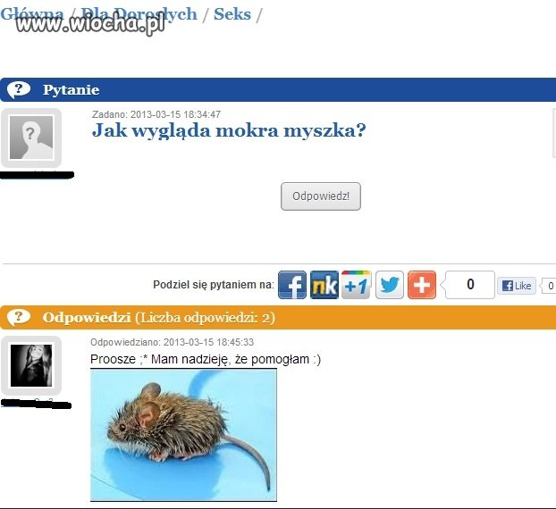 Dziś pytanie, dziś odpowiedź
