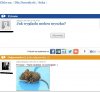Dziś pytanie, dziś odpowiedź