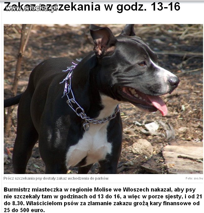 Zakaz szczekania