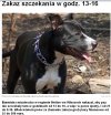 Zakaz szczekania