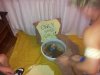 Domowy staw