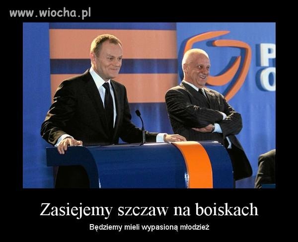 Szczaw...