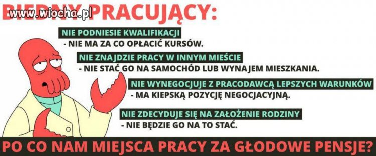 To ma sens, mamy być tanią siłą roboczą