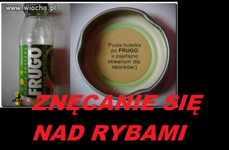Znęcanie się nad rybami