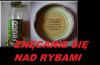 Znęcanie się nad rybami