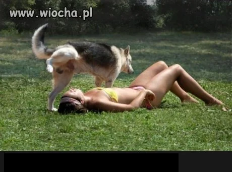 Nie wiem jak opisać to zdjęcie