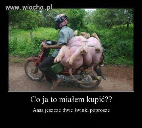 Transport 