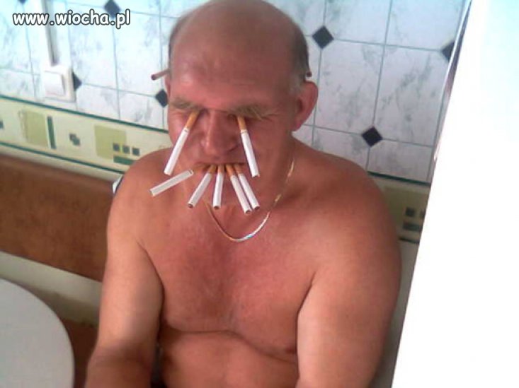 Świstak siedzi, bo nie stoi
