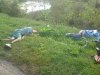 Znalezione przy drodze 