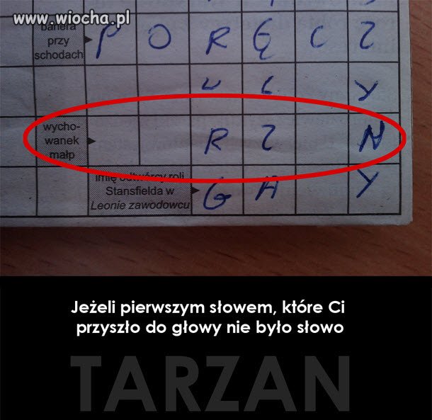 Mój własny tok myślenia zadziwił mnie 