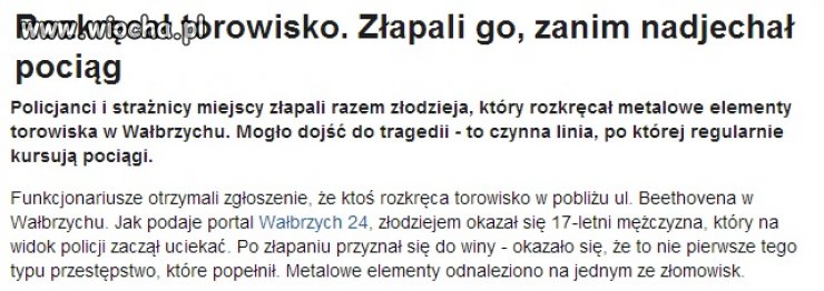 Nie potrzebujemy terorrystów, mamy gimbaze.