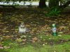 Dobrze jest posiedzieć przy Żubrze