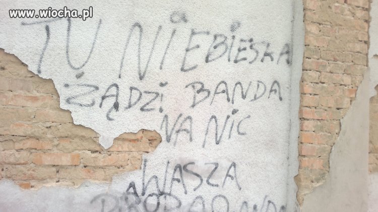 Inteligencja Polskich kibiców 
