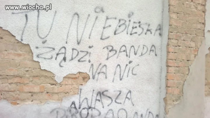 Inteligencja Polskich kibiców 