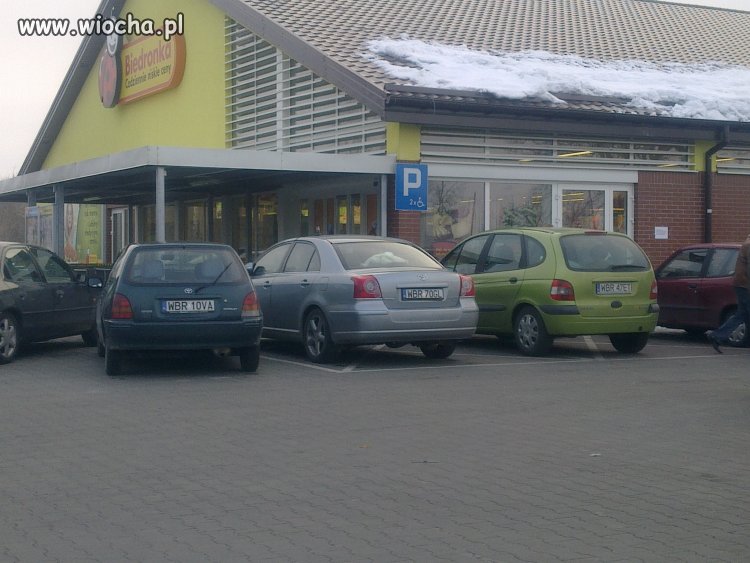 Pchają się buraki z Białobrzegów