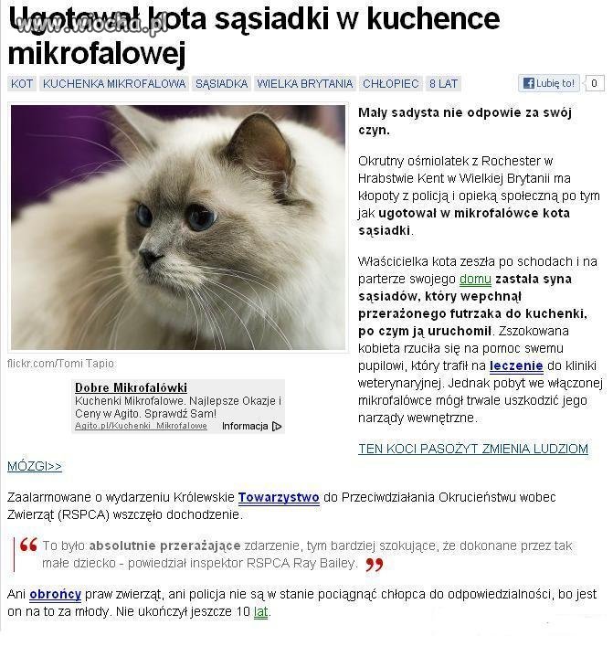 Mały sadysta
