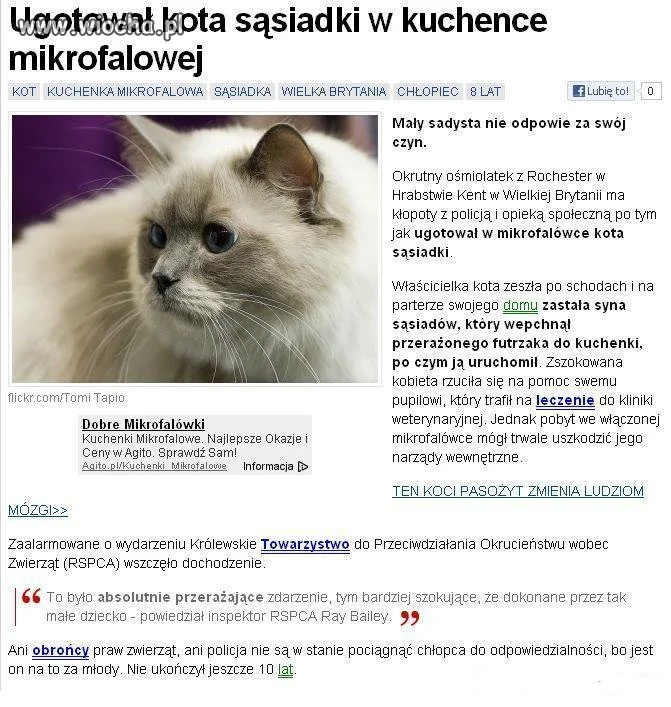 Mały sadysta