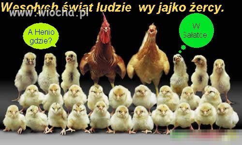 Dla was wszystkich... Zdrowych i Pogodnych 