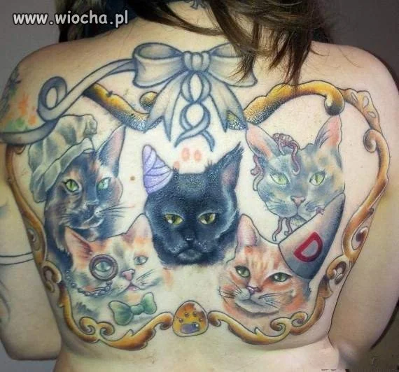 Zakociana laska